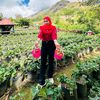 rawiyatunsolehah