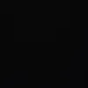 kociak_1205
