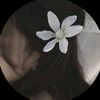 sc_554