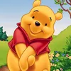 winniepooh791