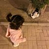 qazax_3550