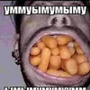 nitroni228