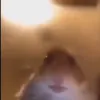 gonzalodav