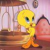 tweety_061