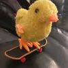 pintinhodeskate8