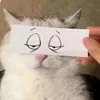 jbsnzjvzskj
