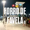 forrodefavelaig