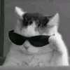 shrx_hesi