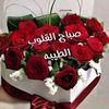 user5061348199776