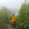 suparman8029
