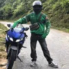 canhquephong