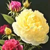 user8124003617922