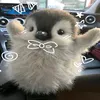 itsmeecassy_7