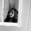 evdokia_pp
