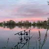joeys.fishin