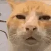 mipansususu042