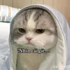 ng.khoi.kaito