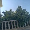 user1010996190950