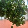haivan0994