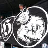 hansa.rostock65
