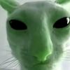 user4962003713193