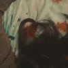afnewx
