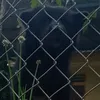 limnghong4