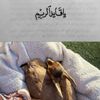 alreem1988