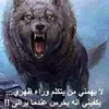 alialamer341