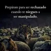 pedroabraunalcon2