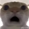 sigma_so1_thegioi