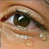 humilitykamsiuser