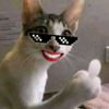 qinshilhit_