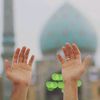 zeinab20192