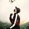 mediaproflim