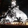 upuljayasinghe4