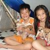 thaophuongv5