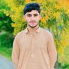 arif.ali0291