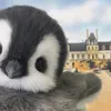 anesosos