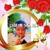 casedie316