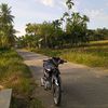 fiss0431