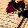 sahar.mohamed241