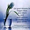 mydream204895
