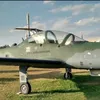 fdov8
