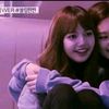 timtinxkei2
