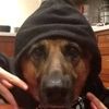 lisandro_031