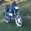 user8100408371327