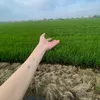 vangakhuaaaa