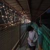 christian.samonte09