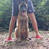 malinoiskira